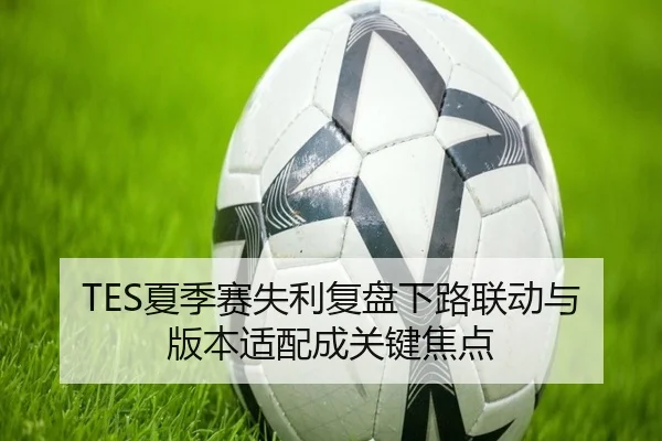 TES夏季赛失利复盘下路联动与版本适配成关键焦点
